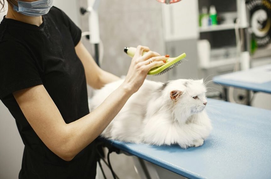 pet care world numbers